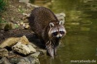 20180414-151036-DSC04583