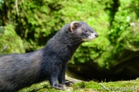 20180414-151154-DSC04377