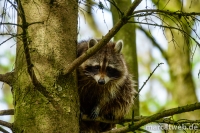 20180414-151731-DSC04423