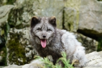 20180414-152203-DSC04441