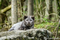 20180414-152342-DSC04462-2