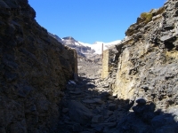 Wallis_179.JPG