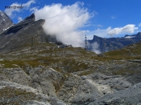 Wallis_186.JPG
