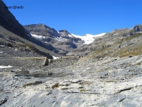Wallis_187.JPG