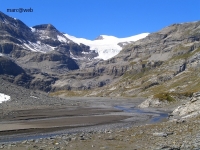 Wallis_190.JPG