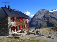 Wallis_209.JPG