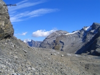 Wallis_221.JPG