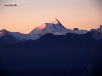Wallis__140_neu