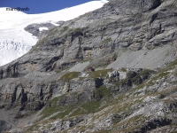 Wallis__87_.JPG