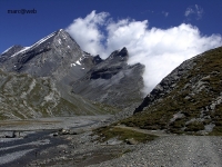 Wallis__88_.JPG