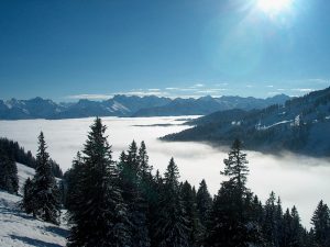 Bolsterlanger Horn im Oberallgäu