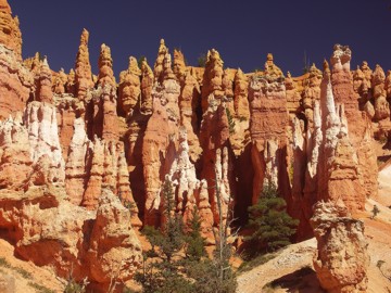 Rote Felsen im Bryce Canyon