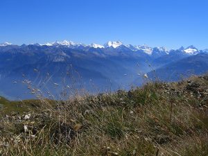 Suonenwanderung in Crans Montana