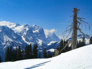 Schneewanderungen über die Alpen des Haslibergs in Meiringen
