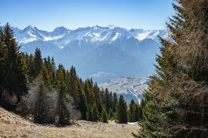 Auf dem Fisser Höhenweg zur Frommes Alpe in Serfaus-Fiss-Ladis