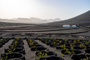 Lanzarote – Bildergalerie einer außergewöhnlichen Vulkaninsel