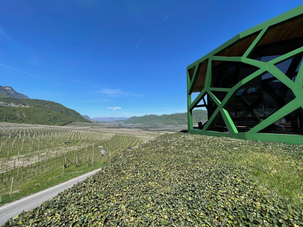 Die Cantina Tramin