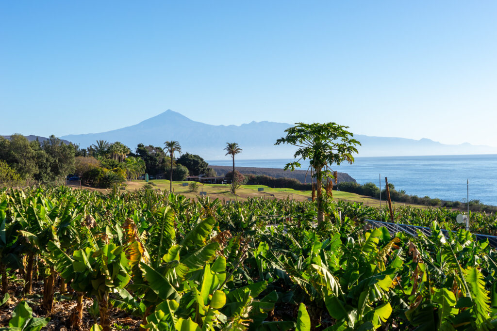 Der Teide auf der großen Schwesterinsel Teneriffa