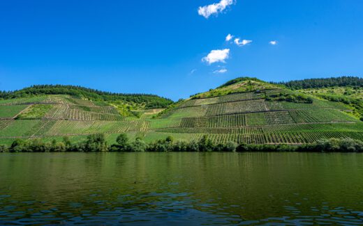 Weinberge an der Mosel